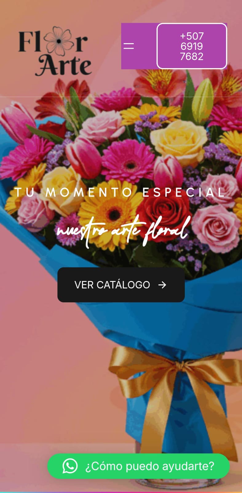 Vista principal de Florartepa en móvil