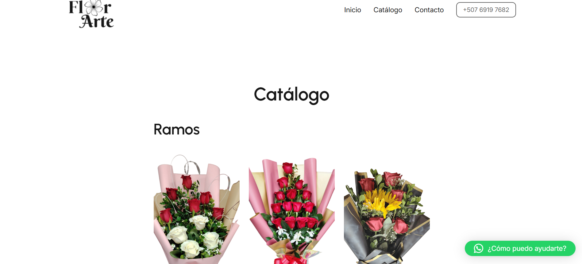 Segunda vista de Florartepa en PC